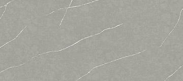 29837 Grey root
