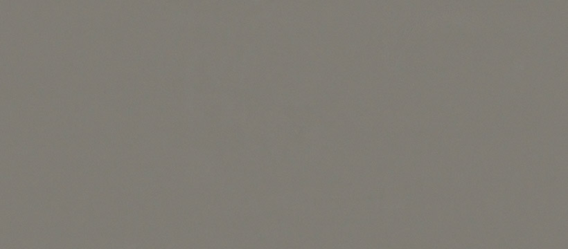 2204 卡其灰